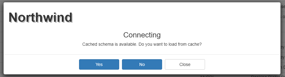 Cache Schema Prompt